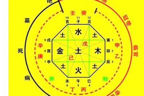 五行喜金水|八字入门基础 第六篇 如何判断八字喜用神